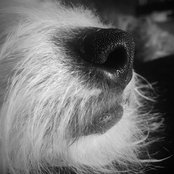 Foto de Nancy Gregory