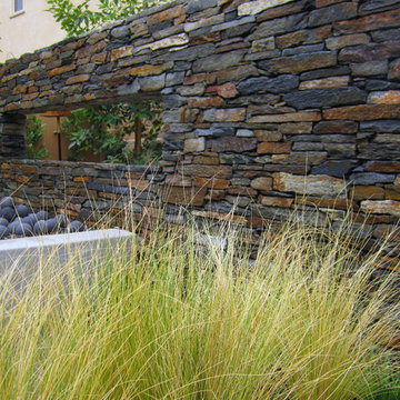 San Juan Capistrano Contemporary Woodland