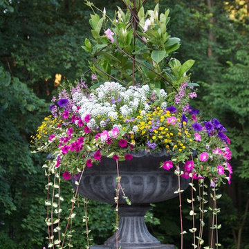 Planters