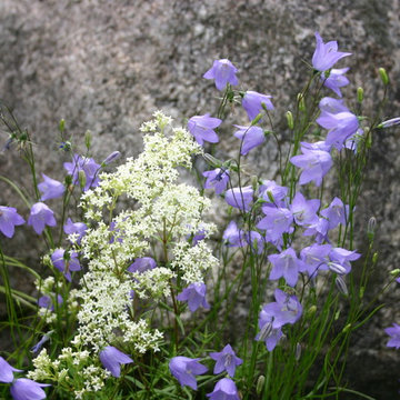 Prairie Gardens