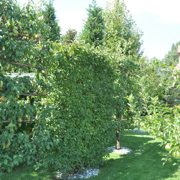 Classic Italian garden. / Классический итальянский сад.