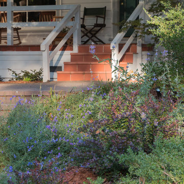 Orinda 4
