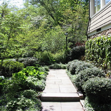 patio garden