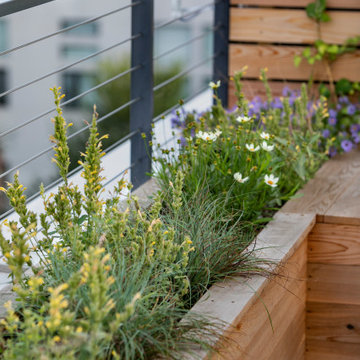 Carroll Gardens, Brooklyn Rooftop I
