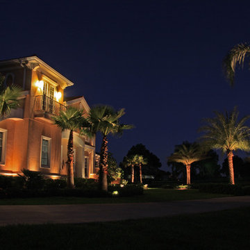 Palm tree lighting