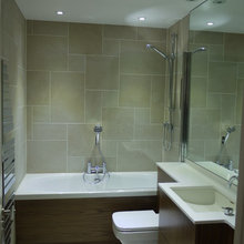 Basement Bathroom