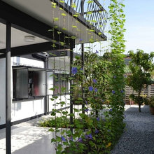vertical greenery envy