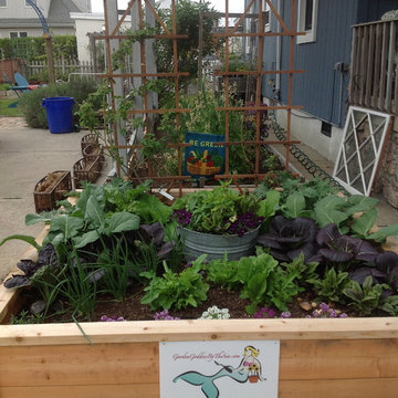 Vegetable & Herb Gardens