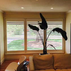 Plantation Shutters - Products