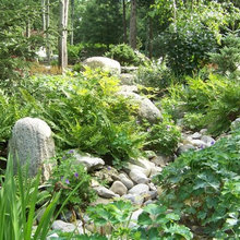 Landscape Ideas