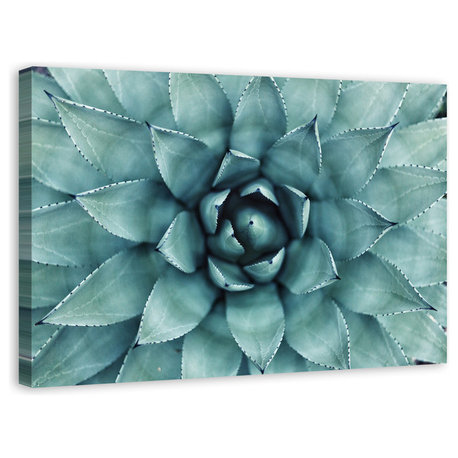 "Agave 3" Canvas Wall Art, 48"x32"