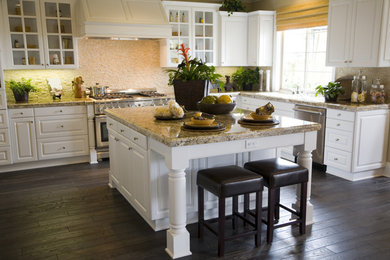 Kitchen - traditional dark wood floor kitchen idea in Chicago with white cabinets, granite countertops, stone tile backsplash, stainless steel appliances and an island