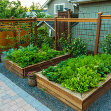 Landscape garden