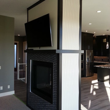 Nexgen "Latitude South" Fire Place