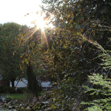 Suburban Living