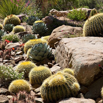 Phoenix Home & Garden - NATURALISTIC DESERT GARDEN
