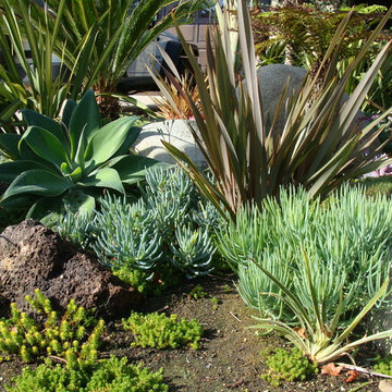San Juan Capistrano 2012