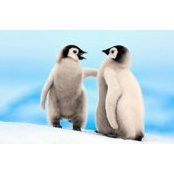 Ursula Papillon's photo