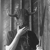 Jaime Arnold's photo