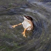 Christine Lowe's photo
