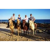 Michael Vos's photo