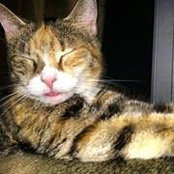 Teresa Calhoun's photo
