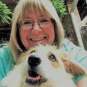 Jennifer Hoff's photo
