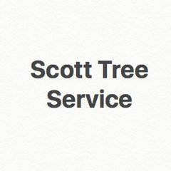 Scott Tree Services