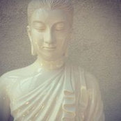 Tuệ Hỷ's photo