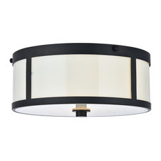 Hadrian 2-Light 12" Flush Mount, Flat Black