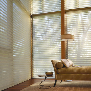 Living Room Window Treatments