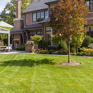 Rear Yard
