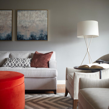 Contemporary Living Room