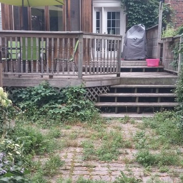 Garden Cleanup Before & After