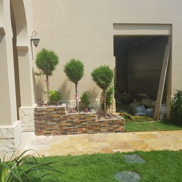 Swimming pool and landscape