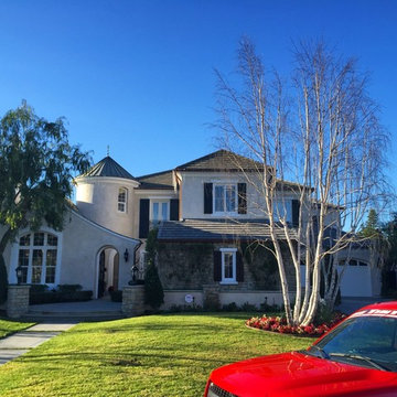 Tinted Picture Windows