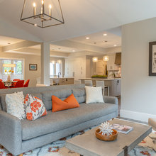 Family Room Ideas