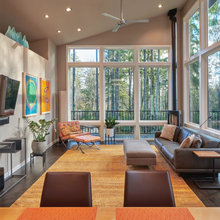 New House In The Woods