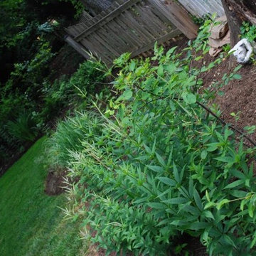 City Backyard Garden | Falls Church VA