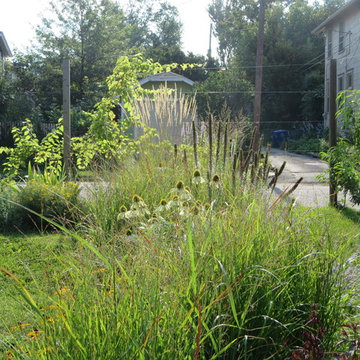 Garden with edible fence and native flowers