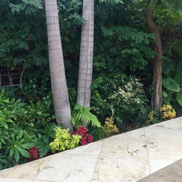 Yorba Linda Tropical