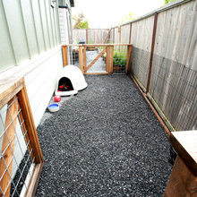 Dog Run