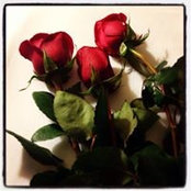 Fadwa Albshri's photo