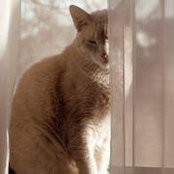 Charan Rose's photo