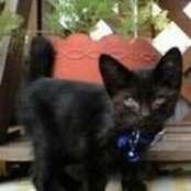 上村たまきさんの写真