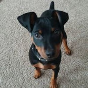 Heidi Redd's photo