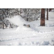 Matt Tyrrell's photo