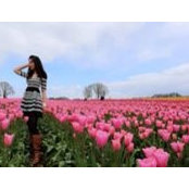Tina Sitthitool's photo