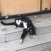 Christina Cox's photo