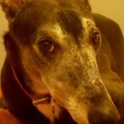 Lloyd Stray's photo